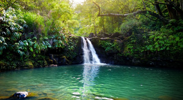 Hawaii’s Most Refreshing Hike Will Lead You Straight To A Beautiful Swimming Hole