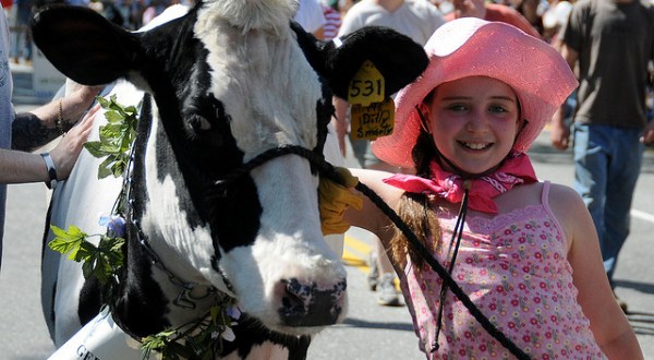 Celebrate Spring In Vermont With This Whimsical Cow Parade And Festival