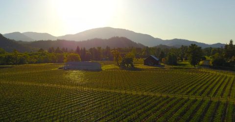 This Wine Mine Is The Oregon Adventure You Didn't Know You Needed
