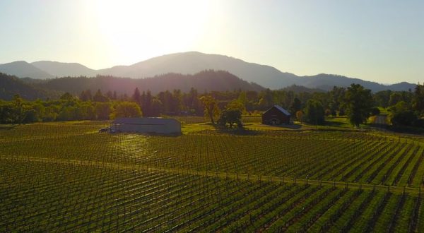 This Wine Mine Is The Oregon Adventure You Didn’t Know You Needed