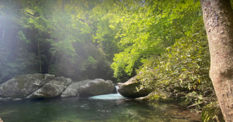 Hike To An Emerald Lagoon On This Easy Trail In North Carolina