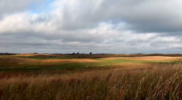 The Story Of Nebraska Is Told In This One-Of-A-Kind Film – And You’ll Want To See It