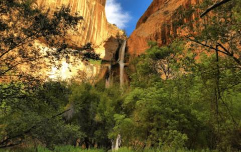 This Utah Hiking Trail And Waterfall Will Be Your New Favorite Paradise