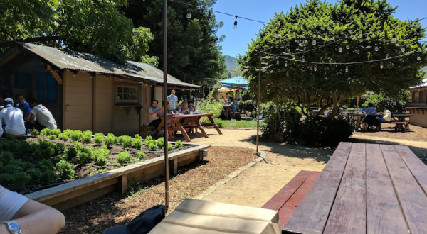 The Yummiest Fried Chicken In Northern California Is Served From This Simple Walk-Up Window