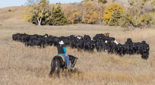 The Remarkable Ranch Getaway In Nebraska That Will Turn Anyone Into A Cowboy