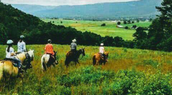 The Remarkable Ranch Getaway In Tennessee That Will Turn Anyone Into A Cowboy