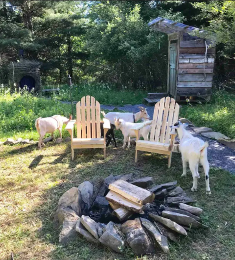 Spend The Night In A Yurt On This Charming New York Goat Farm