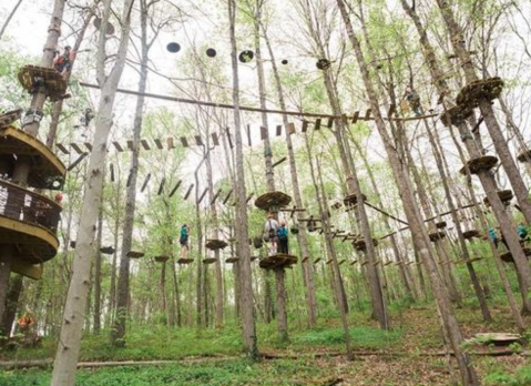 Exploring This Tennessee Adventure Park At Night Is A Once-In-A-Lifetime Experience