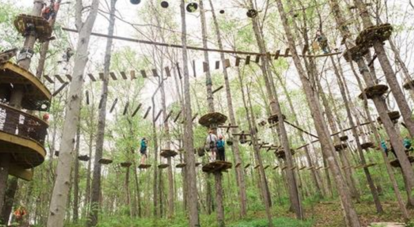Exploring This Tennessee Adventure Park At Night Is A Once-In-A-Lifetime Experience