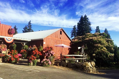 This Charming Oregon Family Farm is Perfect For Your Next Outing