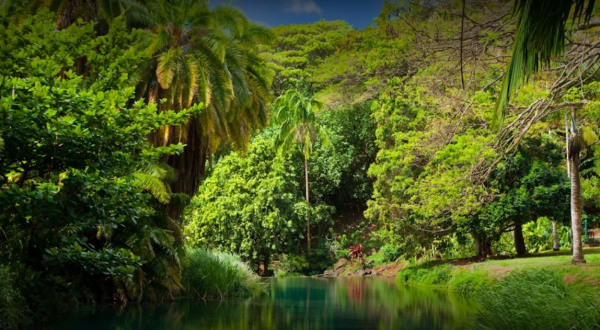 Strolling Through This 252-Acre Garden Hiding In Hawaii Is Like Entering A Fairytale