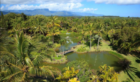 The Unique Botanical Garden In Hawaii With Its Very Own Lagoon