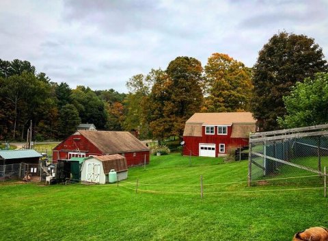 The One Of A Kind Deer Park In Connecticut That Your Kids Will Absolutely Love