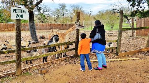 This Zoo Near Austin Has Animals That You May Have Never Seen In Person Before