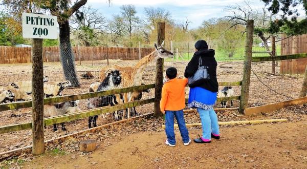 This Zoo Near Austin Has Animals That You May Have Never Seen In Person Before