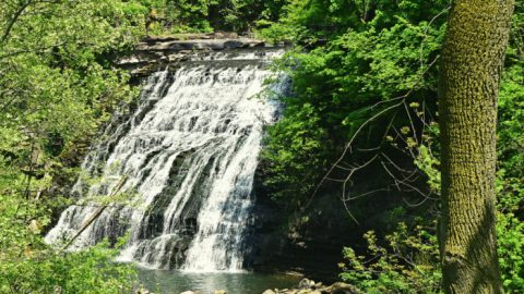 The Hike To This Little-Known Greater Cleveland Waterfall Is Short And Sweet
