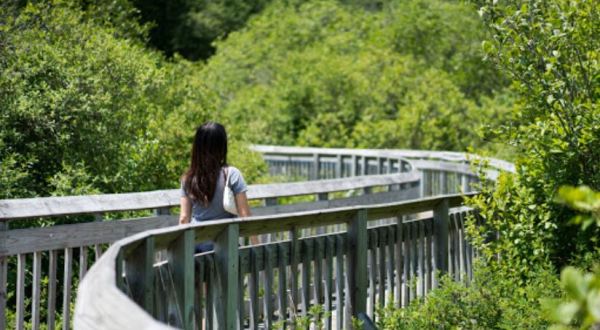 Discover A Boardwalk, Covered Bridge, And Water Wheel At This One Connecticut State Park