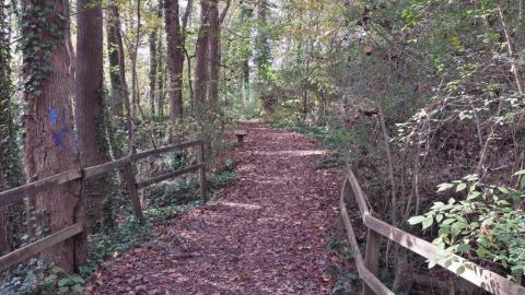There's An Enchanted Forest Hiding In The Middle Of This Virginia Town And You Just Have To Go