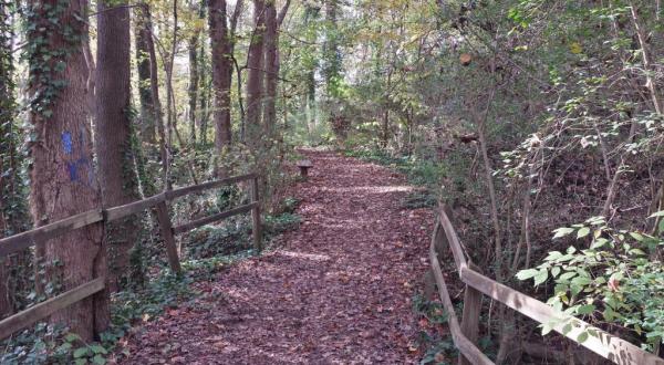 There’s An Enchanted Forest Hiding In The Middle Of This Virginia Town And You Just Have To Go