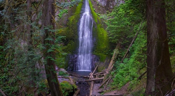 This Easy Waterfall Hike In Washington Is Almost Too Good To Be True