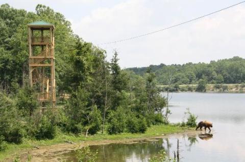 The Safari Adventure Course That Will Make You Forget You're In Ohio