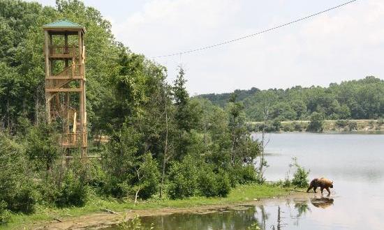 The Safari Adventure Course That Will Make You Forget You’re In Ohio