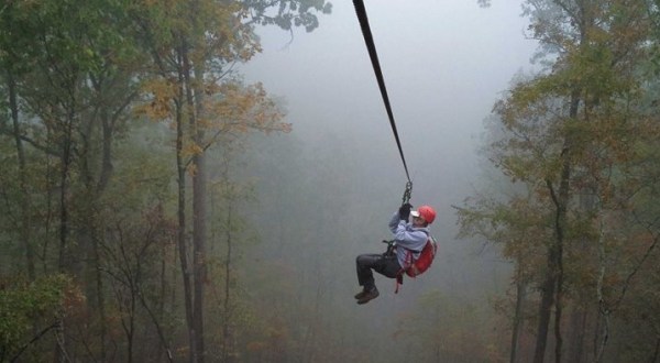 There’s A Zip Line Hike In This Arkansas Forest And It’s The Ultimate Adventure