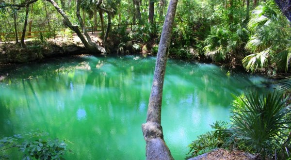 The Tranquil Park In Florida With Emerald Green Springs Like You Wouldn’t Believe