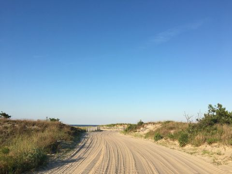The Beautiful Beach Hike In Delaware That Will Engage All Of Your Senses