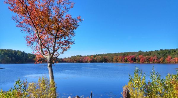 This Exhilarating Hike Takes You To The Most Crystal Blue Lake In Rhode Island