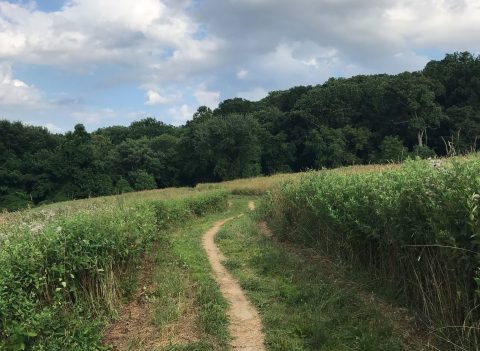 The Tried And True Trail In Delaware That Will Take You On A Scenic Adventure