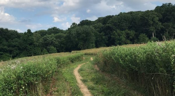The Tried And True Trail In Delaware That Will Take You On A Scenic Adventure