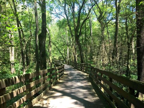 The Beautiful Lake Trail In Delaware Is The Perfect Destination For A Hot Summer Day