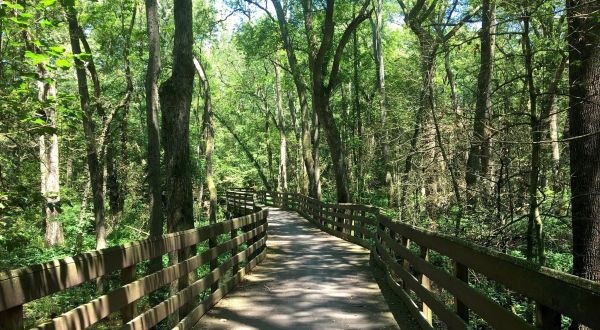 The Beautiful Lake Trail In Delaware Is The Perfect Destination For A Hot Summer Day