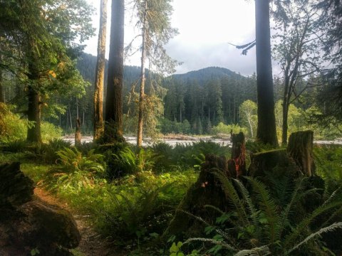 Private & Secluded Camping in Washington: 7 Remote Campgrounds to Explore