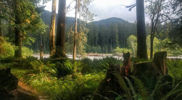 7 Secluded Campgrounds In Washington You’ve Never Heard Of