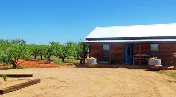 There’s A Bed and Breakfast On This Peach Farm Near Austin And You Simply Have To Visit