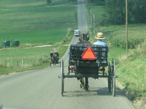 The Tiny Amish Town Near Cleveland That's The Perfect Day Trip Destination