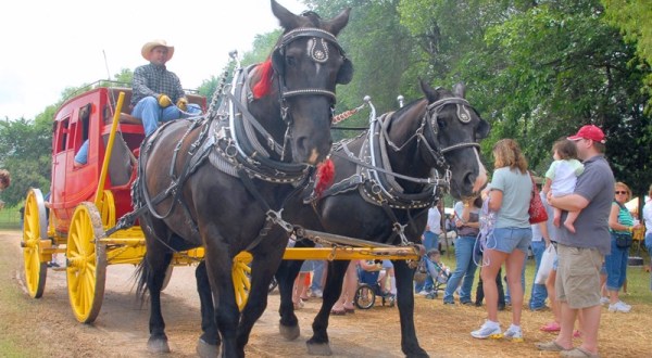True Oklahomans Would Never Miss This Epic Chuck Wagon Festival
