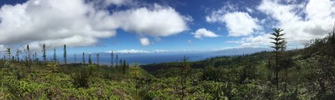 Head To The Highest Point Of Lanai On This Epic Trail Unlike Any Other