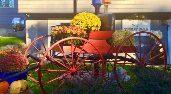 It’s Thanksgiving All Year Round At This Charming Turkey Farm In Maine