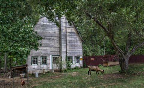 There's A Bed And Breakfast On This Goat Farm In Connecticut And You Simply Have To Visit