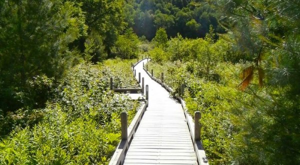 This Vermont Park Has An Enchanting Boardwalk That You’ll Want To Explore