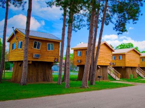 Your Family Will Fall In Love With This Quirky Wisconsin Tree House Resort