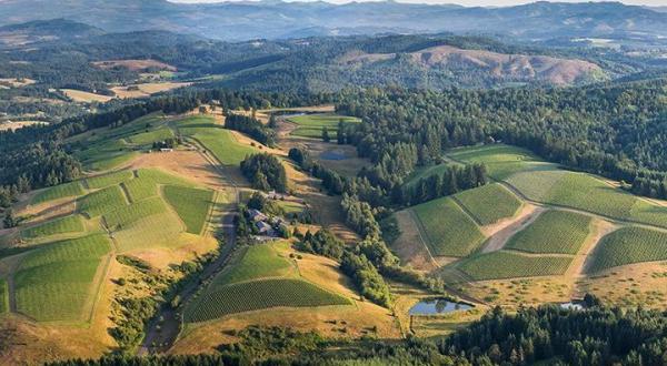 The One County In Oregon With Over 80 Award-Winning Wineries