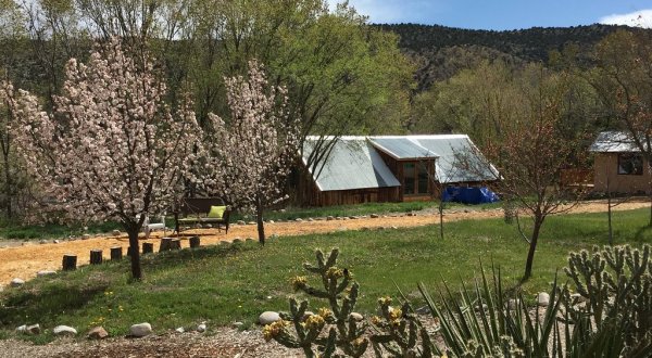 Stay In A Desert Casita On This Spring-Fed Pond In New Mexico For The Perfect Getaway
