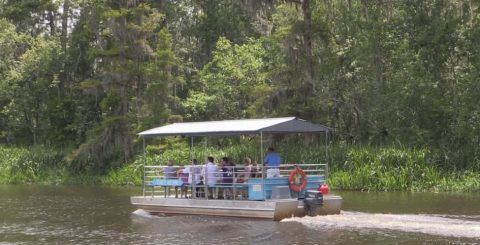 There’s A Pontoon Boat Tour In New Orleans That Will Take You On A Water Adventure Like No Other