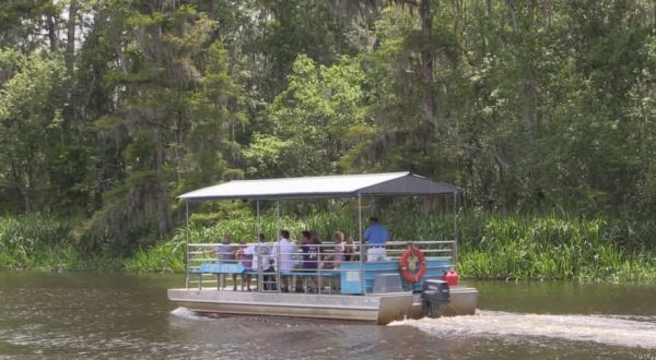 There’s A Pontoon Boat Tour In New Orleans That Will Take You On A Water Adventure Like No Other