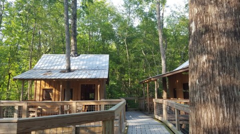 A Rustic Tree House Village In North Carolina, Cashie River Tree Houses Are A Tranquil Getaway