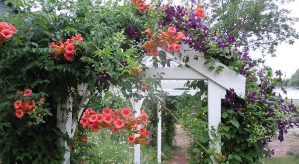 Visit This Flower Farm In Wisconsin For That Beautiful Scenic Experience You Crave